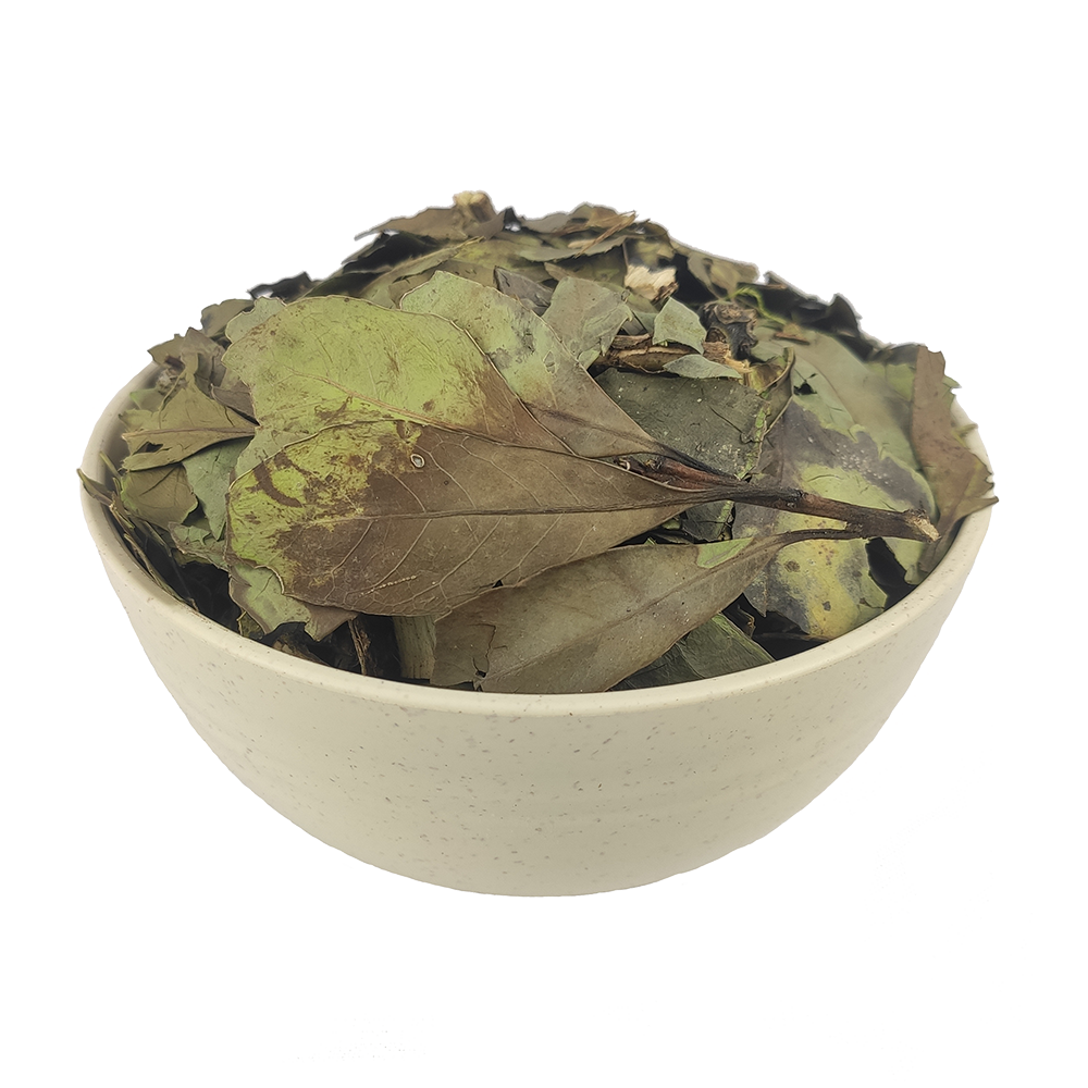 Cha-Verde-Folhas.png