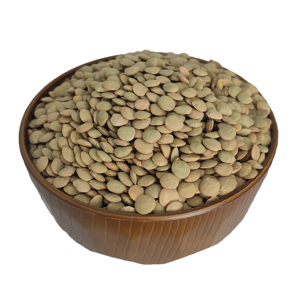 lentilha-canadense-Aroeira-Natural.png